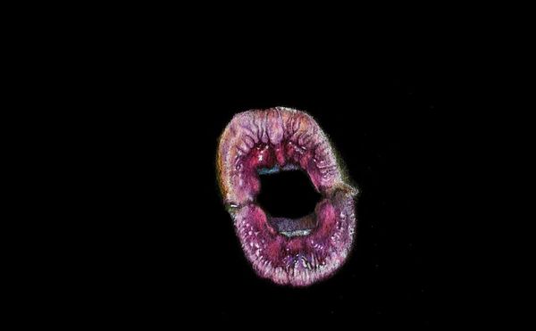 Peering Down Trump’s Lie Hole