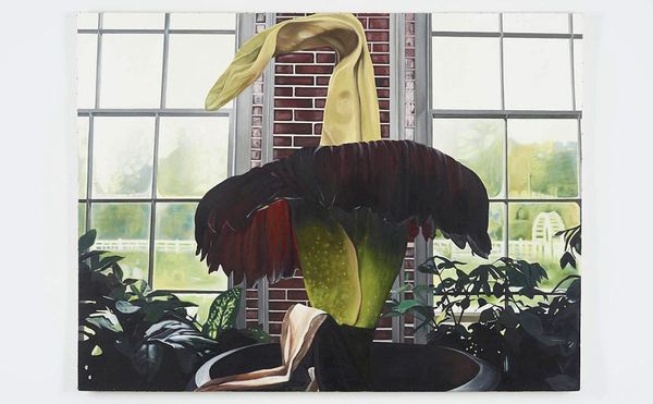 Painting the Pageantry of the Corpse Flower
