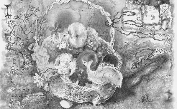 Joshua Marsh’s Inimitable Drawings