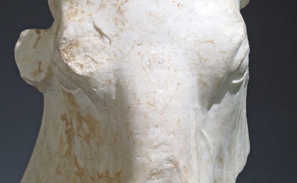 Marble Head of a Bull (ca 500-460 BCE), Greek, height:13 in (image courtesy the Metropolitan Museum of Art, New York)