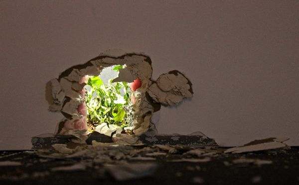 When Magic and Art Find Common Ground