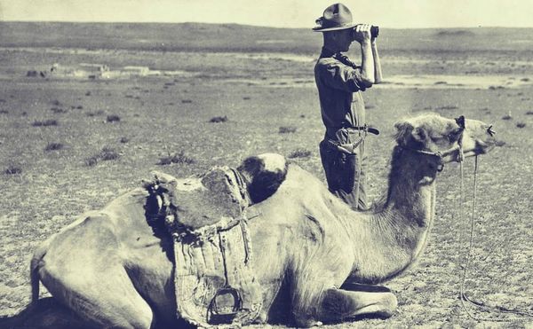 Go Behind the Scenes of 9 Museums With These Great Online Web Series