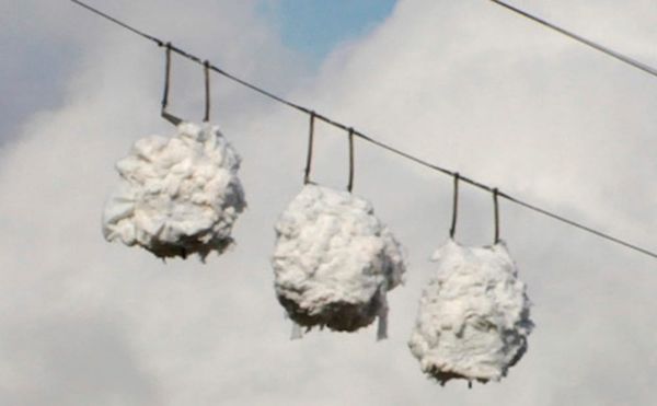 Tom Pnini’s Cinematic Études