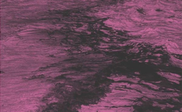 Will Alexander's Celebration of the Possible