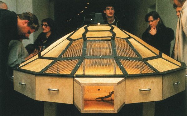 Guggenheim Accused of Supporting Animal Cruelty in New Exhibition