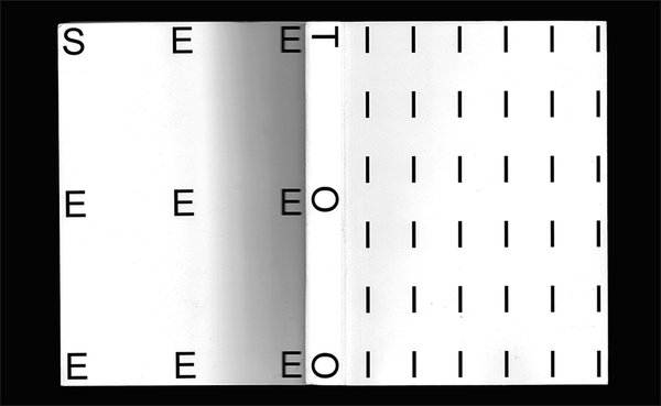 An Experimental Book Tests Our Ability to Perceive Multiple Mediums Simultaneously