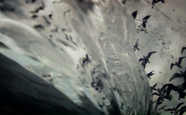 Stan Brakhage Defines His Filmmaking Practice with Metaphors