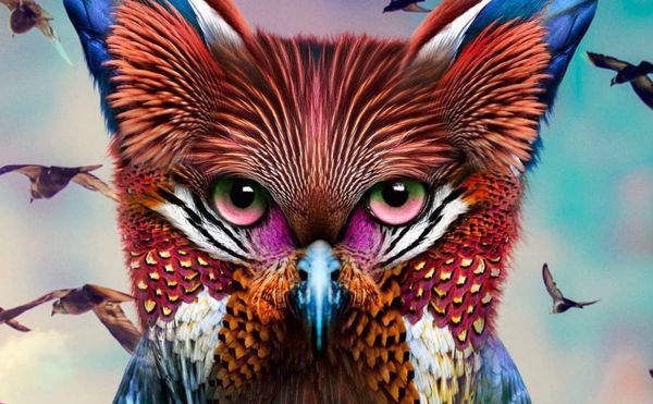 Case Studies in Musical Hooks: Father John Misty, Galantis, Ed Sheeran, Ashik Reza