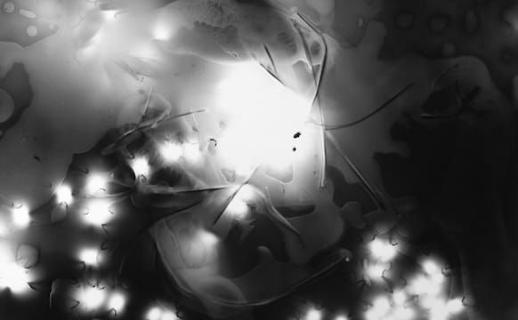 Photograms that Capture Darkness and the Flicker of Fireflies