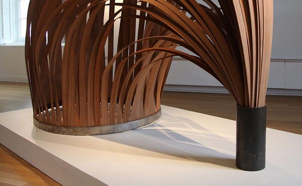 Artist Molly Dressel Discusses Her Experience with MassArt's MFA Program