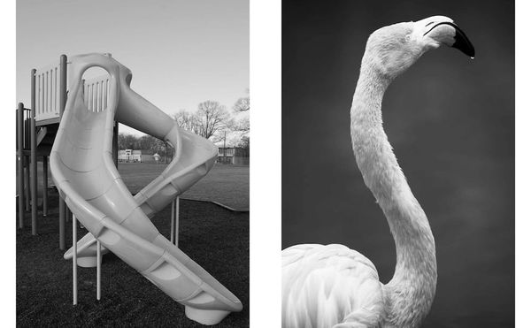 Photobooks Designed to Treat Dementia Gently Challenge the Mind