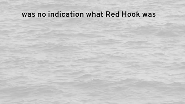 Using AI to Pull Memories from Red Hook’s Waters