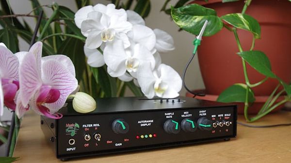 What Music-Playing Plants Can Teach Us About Consciousness