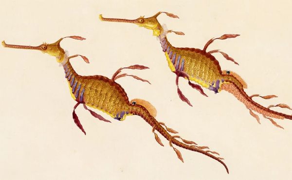 Explore the Color Code of a 19th-Century Artist Who Painted Nature