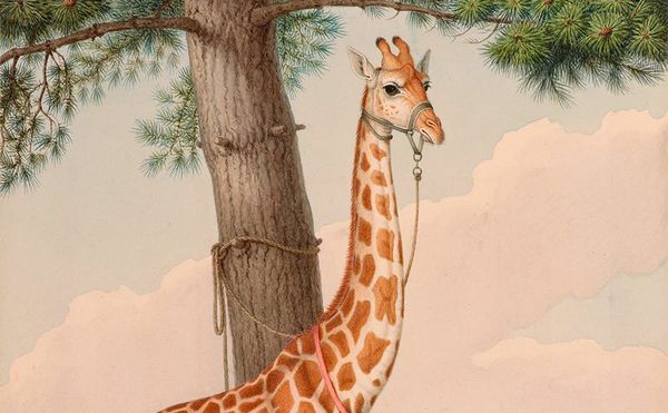 How Zarafa, France's First Giraffe, Became a Cultural Sensation