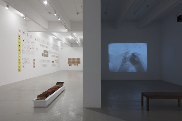 A Romanian Artist Tackles Art and Freedom in Authoritarian Times