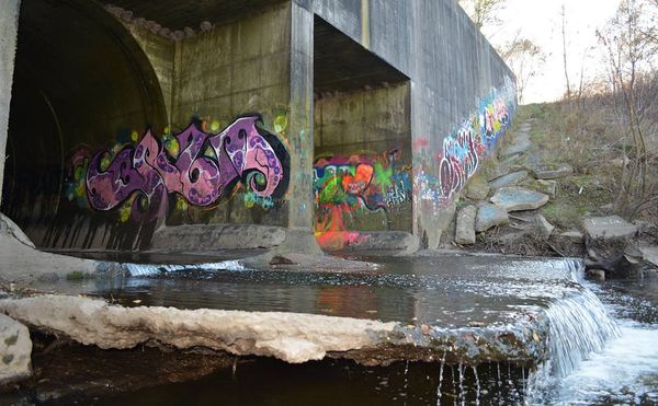 An Artist Accidentally Discovers E. Coli Outbreak in Michigan Waters