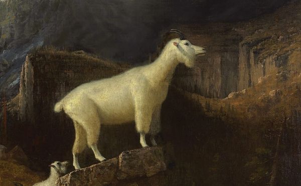 Albert Bierstadt, "Rocky Mountain Goats" (1885) (via Wikimedia Commons)