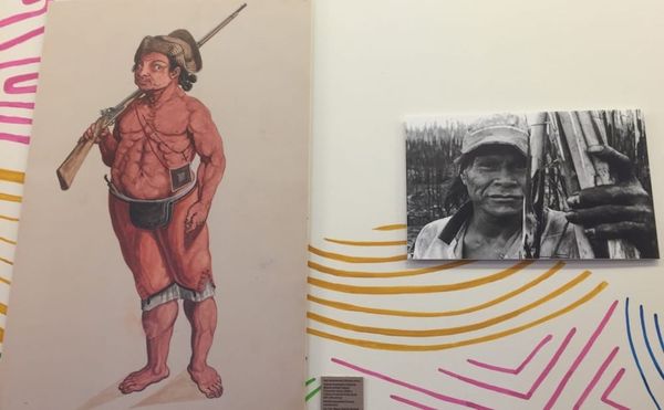 Connecting Brazil's Indigenous Past to Its Activist Present