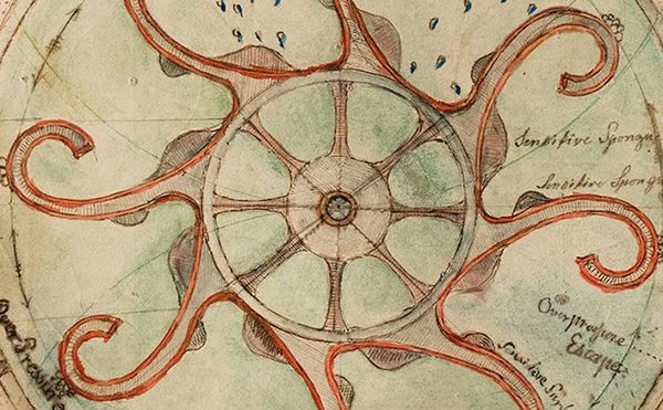 The Visible Language of Outsider Art