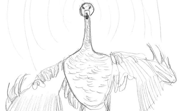 Marina Abramović Says Ugly Things But Draws Cute Ducklings