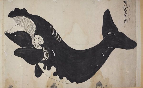 In Edo Japan, Artists Captured Whales Like Never Before