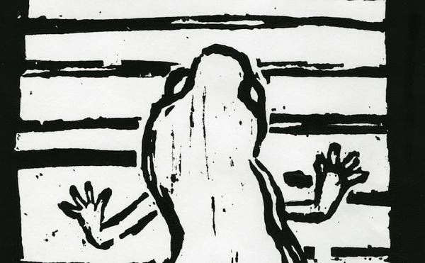 An Illustrated Collection of Animal Inventories