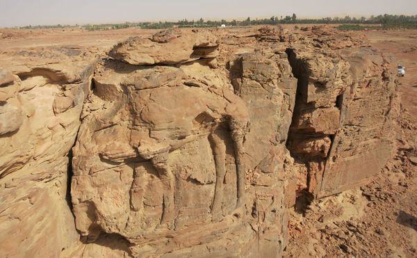 2,000-Year-Old Rock Carvings of Camels Discovered in Saudi Arabia
