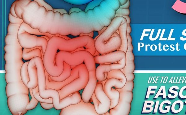 Electronica Against Trump