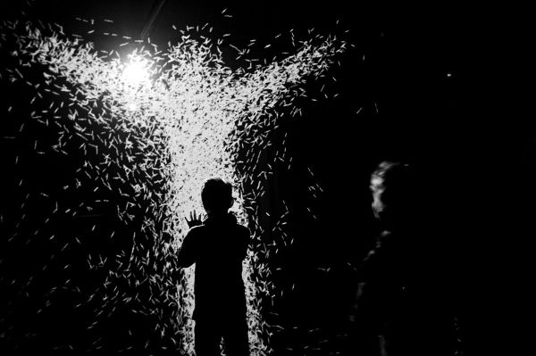 A Neuroscientist Helps the Peabody Essex Museum Get Inside Your Head