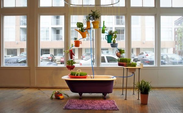 How the Environmental Humanities Can Heal Our Relationship to the Planet