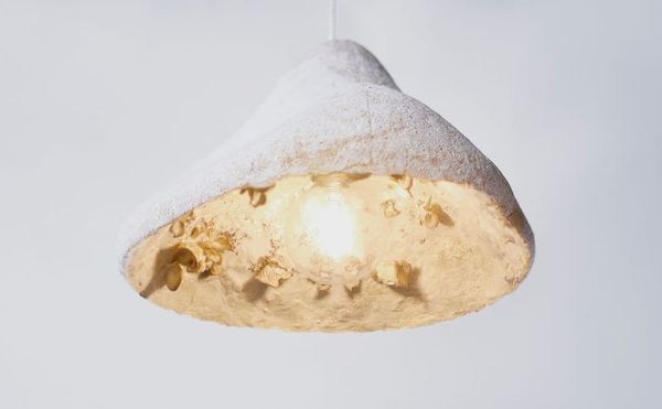 Designing Products from Dung, Dust, and Other Strange and Sustainable Materials