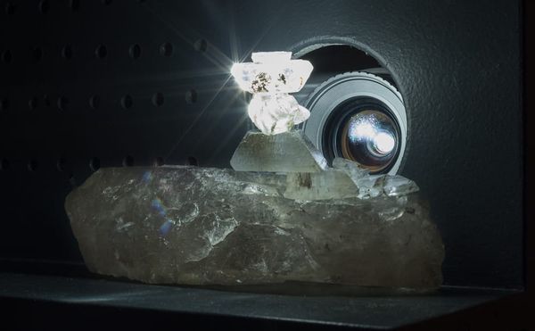 EFA Presents #callresponse, a Dialogue-Driven Exhibition Led by Indigenous Women