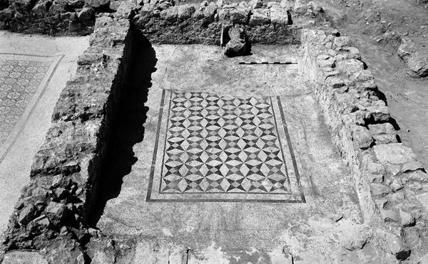 Florida Museum Unearths Ancient Mosaics It Buried Years Ago and Lost Track Of