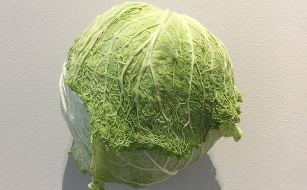 From the Green Market to the Gallery Wall