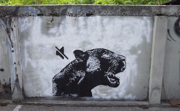Thai Street Artists Demand Justice After Killing of Endangered Black Panther