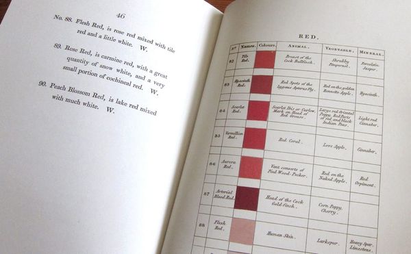 An Early 19th-Century Flower Painter's Guide to Identifying Colors of the Natural World