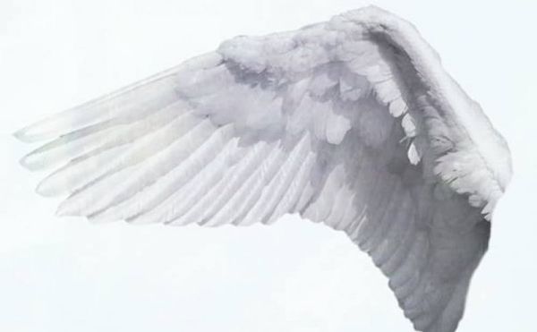 A Poet's Minecraft Romanticism