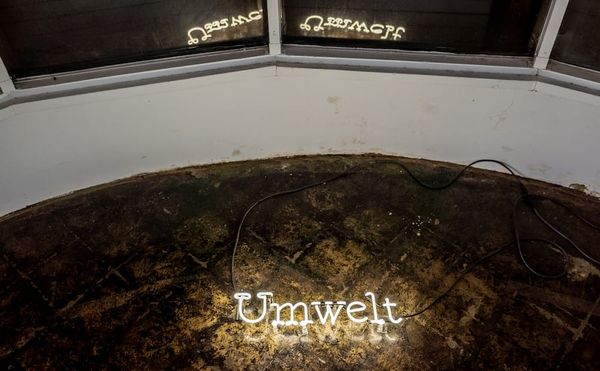 Tilling the Scars of Turtle Island and Its History