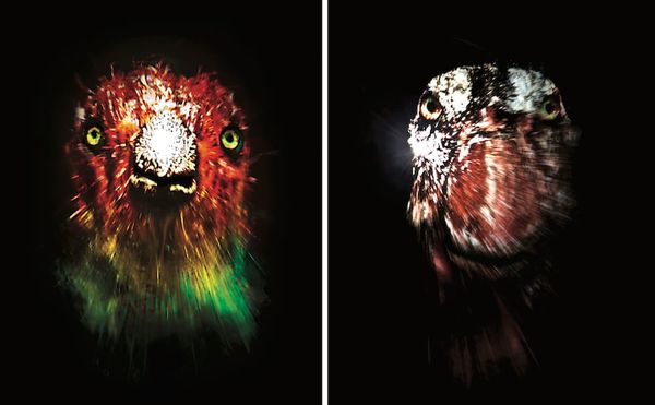 The Halsey Institute Debuts The Carrion Cheer, an Installation About Humans' Relationship to Nature