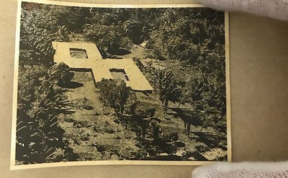 An Imagined Feminist Art School in the Amazon Jungle