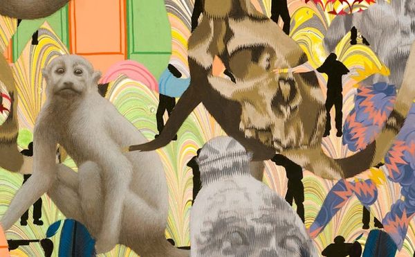 Zoe Pettijohn Schade Looks at the Inevitable and Doesn’t Blink