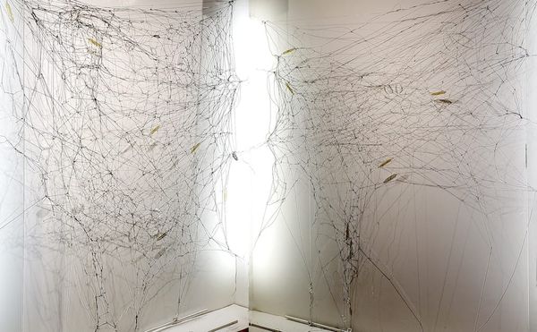 SVA's ContinuEd Project Space Presents Kathryn Hart: Searching