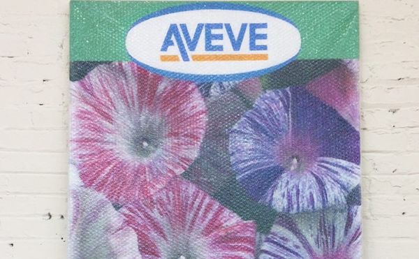 How Jef Geys's Conceptual Enigmas Speak to Life