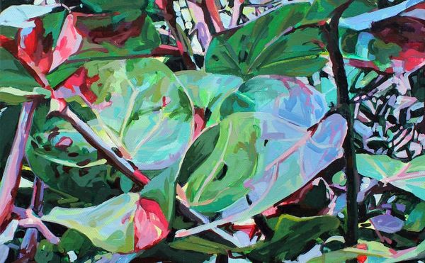 The Painterly Brilliance of South Florida's Foliage