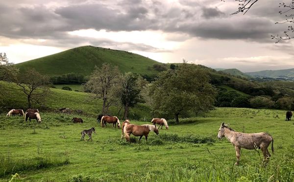 Living without Wifi (with Recipe)