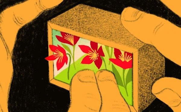 A Graphic Novel Asks, Why Art?