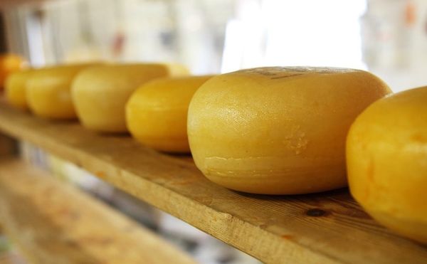 Hold Your Noses! The World's Most Ancient Cheese Found in Egyptian Tomb