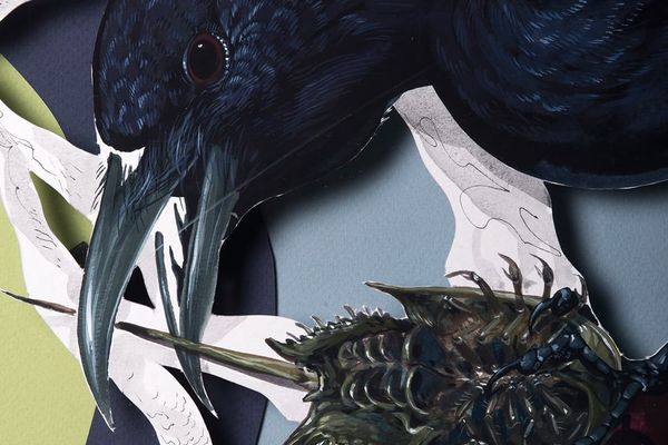 On the Trail of John James Audubon, Hitnes.