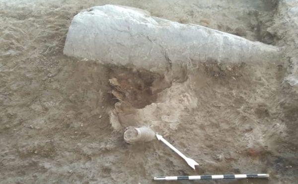 Construction Workers Discover a Buried Sphinx in Egypt